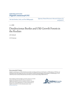 Amman, G. D. 1992. Dendroctonus beetles and old