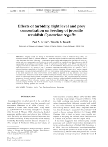 Effects of turbidity, light level and prey concentration on feeding of