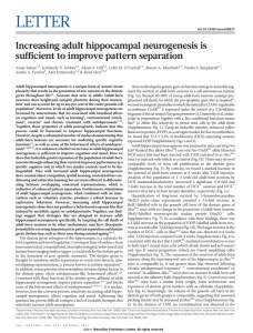 Increasing adult hippocampal neurogenesis is sufficient to improve