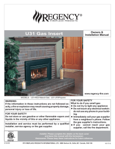 U31 Gas Insert - Regency Fireplace Products