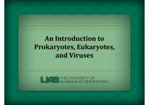 An Introduction to Prokaryotes, Eukaryotes, and Viruses