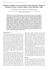 Influence of debris cover on terminus retreat and mass changes of