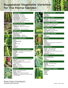 Suggested Vegetable Varieties for the Home Garden