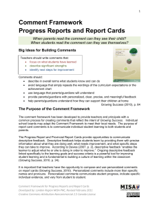 Comment Framework Progress Reports and Report