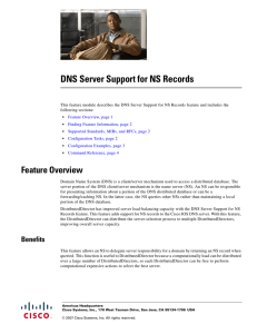 DNS Server Support for NS Records