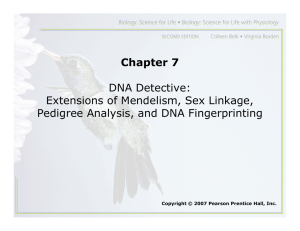 Chapter 7 DNA Detective: Extensions of Mendelism, Sex Linkage