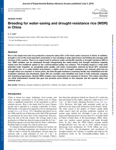 Breeding for water-saving and drought-resistance