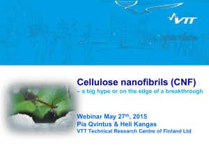 Cellulose nanofibrils (CNF)