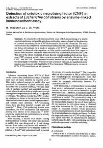 Detection of cytotoxic necrotising factor (CNF) in extracts of