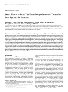 The Neural Organization of Defensive Fear Systems in Humans