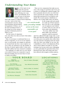 PDF - Central Alabama Electric Cooperative