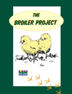 Broiler Project Broiler Project