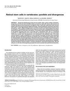 Retinal stem cells in vertebrates: parallels and divergences