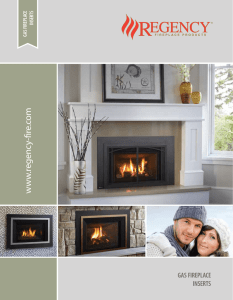 Regency Gas Insert Brochure - Regency Fireplace Products