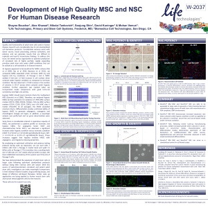 Development of High Quality MSC and NSC for Human Disease