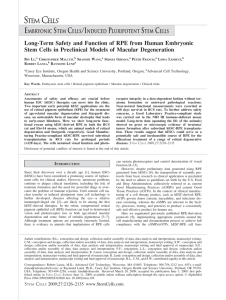 Long-Term Safety and Function of RPE from Human Embryonic