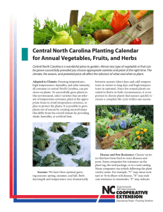 Central North Carolina Planting Calendar for Annual Vegetables