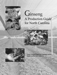 Ginseng - NC Cooperative Extension