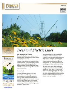 Trees and Electric Lines - Purdue Extension