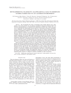 DEVELOPMENTAL PLASTICITY ALLOWS BETULA NANA TO