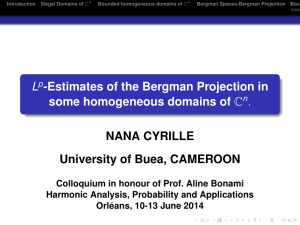Lp-Estimates of the Bergman Projection in some homogeneous