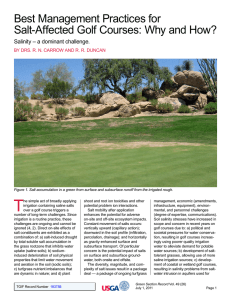 Best Management Practices for Salt-Affected Golf Courses: Why and