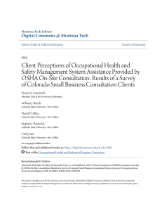 Client Perceptions of Occupational Health and Safety Management