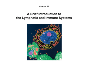 A Brief Introduction to the Lymphatic and Immune Systems