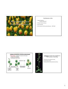 Plant Reproduction Floral Development