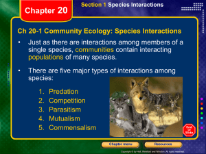 Section 2 Patterns in Communities Chapter 20