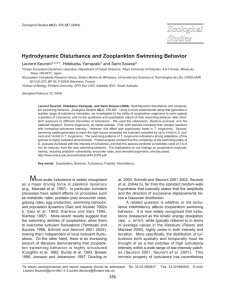 Hydrodynamic Disturbance and Zooplankton Swimming Behavior