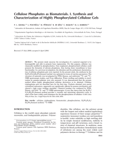 Cellulose Phosphates as Biomaterials. I. Synthesis and