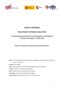 terms of reference final project external evaluation