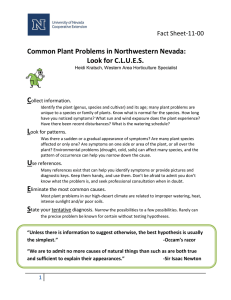 CLUE_Common Plant Problems in northwestern Nevada_fact sheet