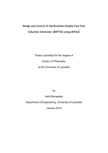 Design and Control of the Brushless Doubly Fed Twin Induction