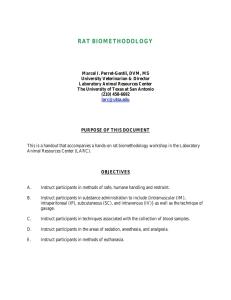 rat biomethodology - The University of Texas at Dallas
