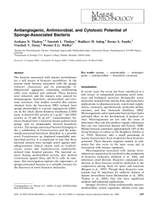 Antiangiogenic, Antimicrobial, and Cytotoxic Potential of Sponge
