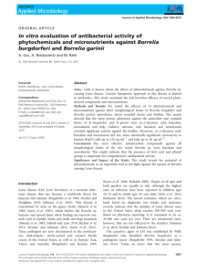 In vitro evaluation of antibacterial activity of phytochemicals and