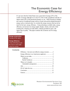 The Economic Case for Energy Efficiency