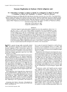 Genome Duplication in Soybean (Glycine subgenus soja)