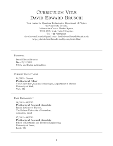 Scientific CV - David Edward Bruschi