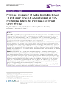 Preclinical evaluation of cyclin dependent kinase 11 and casein