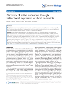 Discovery of active enhancers through bidirectional expression of