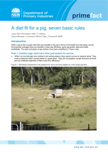 A diet Fit For A Pig: Seven Basic Rules