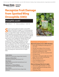 Recognize Fruit Damage from Spotted Wing Drosophila (Drosophila