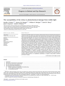 The susceptibility of the retina to photochemical damage from visible