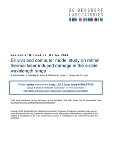 Ex vivo and computer model study on retinal thermal laser