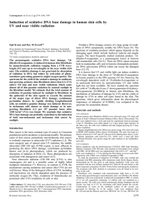 Induction of oxidative DNA base damage in human