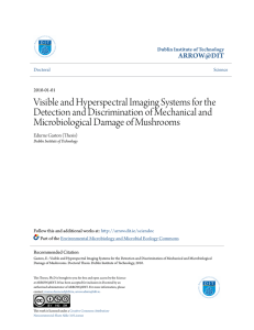 Visible and Hyperspectral Imaging Systems for the