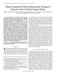 Rapid automated three-dimensional tracing of neurons from